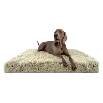 ® Orthopädische Hundematratze PITT Shaggy ORTHO PLUS beige 1,2 m, 13 cm, 90 cm