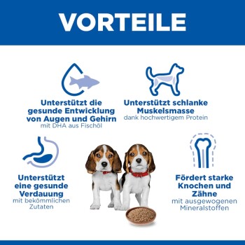 VORTEILE: DHA für Augen/Gehirn; schlanke Muskulatur; Verdauung; starke Knochen. Zwei Beagle-Welpen mit Trockenfutter; ein Gesicht verschwommen.
