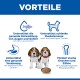 VORTEILE: DHA für Augen/Gehirn; schlanke Muskulatur; Verdauung; starke Knochen. Zwei Beagle-Welpen mit Trockenfutter; ein Gesicht verschwommen.