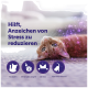 Orangefarbene Katze auf Teppich mit violetten Funkeln; deutscher Text 'Hilft, Anzeichen von Stress zu reduzieren' und Icons mit den Beschriftungen 'Kratzen', 'Veränderungen', 'Stress', 'Harnmarkieren'.