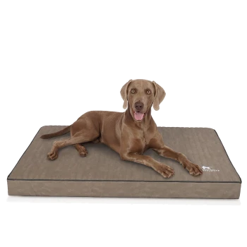 Ein brauner Hund, der bequem auf einem plüschigen, rechteckigen Hundebett mit strukturierter Oberfläche und schwarzem Rand liegt.