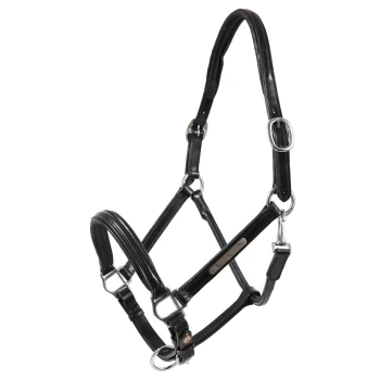 Schwarzes Leder-Haustiergeschirr mit silbernen Metallschnallen und verstellbaren Riemen, entworfen für Komfort und Kontrolle.