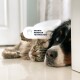 Eine Nahaufnahme von einer Katze und einem Hund, die auf einem glänzenden Boden ruhen, mit dem Text 'SMARTE MEMBRAN TECHNOLOGIE', der das Bild überlagert.
