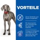Ein grauer Hund steht neben einem blauen Panel, das Vorteile auflistet: getreidefrei, Glucosamin für Gelenke und Omega-6 für gesunde Haut.
