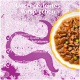 Schale mit Nassfutter (Fleisch, Erbsen, Karotten) neben einem lila Feld mit der Aufschrift 'Unser perfektes Versprechen' und deutschem Text.