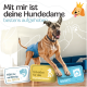 Beagle in einer grünen Windel, die folgende Merkmale zeigt: "Extrem saugstark," "5 Größen," "3 Einstellmöglichkeiten," "Weiches Innenfutter," "Bester Komfort."