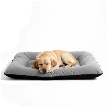 Hellbrauner Labrador-Welpe schläft eingerollt auf einem grauen rechteckigen Hundebett mit schwarzer Unterseite vor weißem Hintergrund.