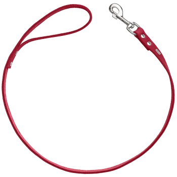 Rote Haustierleine mit einer Schlaufe und einem Metallclip zur Befestigung, vor einem weißen Hintergrund präsentiert.