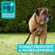 Ein großer brauner Hund auf grünem Gras mit einer schwarzen Leine, in der Nähe eines Banners, das "EINFACHE REINIGUNG" und "SCHMUTZRESISTENT" liest.