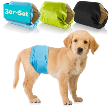 Ein Golden Retriever, der eine blaue Haustierwindel trägt, mit zwei zusätzlichen Windeln in Grün und Schwarz, die dahinter angezeigt werden. Text lautet '3er-Set.'