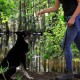 Eine Person in einem schwarzen Tanktop und blauen Jeans hält eine Hundeleine und steht neben einem schwarzen Hund in einem üppig grünen Wald an einem Teich.