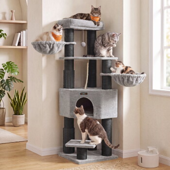 Grauer Feandrea-Kratzbaum mit fünf Katzen auf gepolsterten Plattformen, hängendem Ballspielzeug und Seil; kleines Etikett sichtbar, neben dem Fenster platziert.
