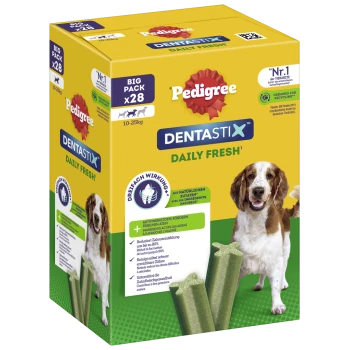 Pedigree Dentastix Daily Fresh Hundeleckerlis in einer großen Packung mit 28 Stück, mit einem Hund und grünen Zahnpflegekauen, mit aufgelisteten Gesundheitsvorteilen.