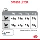 Przewodnik żywieniowy dla kotów, pokazujący zalecane dzienne ilości w gramach w zależności od wagi (3 kg do 6 kg) i kondycji ciała (normalna vs nadwaga).