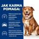 Brązowy pies na niebieskim tle z tekstem o korzyściach żywieniowych dla zdrowia skóry, redukcji drapania i wspieraniu bariery skórnej.