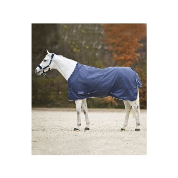 Ein weißes Pferd, das eine blaue wasserdichte Decke trägt, steht in einem sandigen Bereich, umgeben von Bäumen mit herbstlichem Laub.