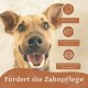 Kauknochen mit Quietscher