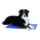 Tapis de refroidissement L