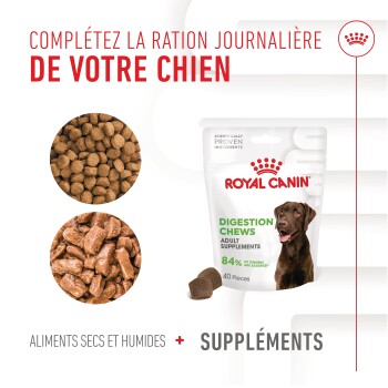 Suppléments Adulte, Digestion