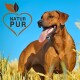 Ein glücklicher brauner Hund steht auf einem Weizenfeld unter einem blauen Himmel, neben einem Logo, das "NATUR PUR" liest.