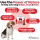 Dog skin and coat omega treats container with benefits: promotes shiny coat, nourishes skin, hydrates dry skin, reduces shedding, maintains nails.