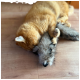Oranger getigerter Kater spielt mit einem grauen Plüschtier auf einem Holzboden in einem Bild eines Online-Tiergeschäfts.