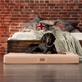 Ein schwarzer Hund ruht auf einem plüschigen beigen Haustierbett in einem gemütlichen Raum mit einer Ziegelwand, dekoriert mit Kissen und einer Decke.