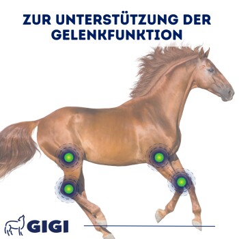 Blauer Hintergrund mit "Spezielle Zusammensetzung", Symbole für MSM, D-Glucosamin, Vitamin C, Weihrauch-Extrakt und einen Messlöffel. "GIGI" am unteren Rand.