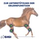 Blauer Hintergrund mit "Spezielle Zusammensetzung", Symbole für MSM, D-Glucosamin, Vitamin C, Weihrauch-Extrakt und einen Messlöffel. "GIGI" am unteren Rand.