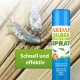 Eine Dose ARDAP Silberfischchen Spray neben zwei Silberfischen auf Holz, mit dem Text: "Schnell und effektiv" und "Zur Abwehr von Silberfischchen."