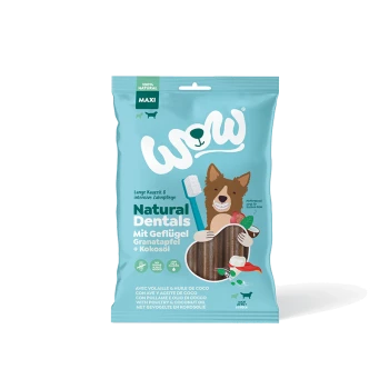 Verpackung von "WOW Natural Dentals" Hundeleckerlis, die einen Cartoonhund mit einer Zahnbürste zeigt und Zutaten wie Geflügel und Granatapfel hervorhebt.