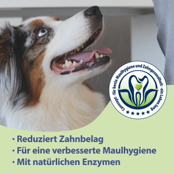 Hund blickt nach oben und zeigt Zähne; Logo: Reduziert Zahnbelag; Für eine verbesserte Maulhygiene; Mit natürlichen Enzymen