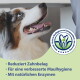 Hund blickt nach oben und zeigt Zähne; Logo: Reduziert Zahnbelag; Für eine verbesserte Maulhygiene; Mit natürlichen Enzymen