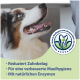Hund blickt nach oben und zeigt Zähne; Logo: Reduziert Zahnbelag; Für eine verbesserte Maulhygiene; Mit natürlichen Enzymen