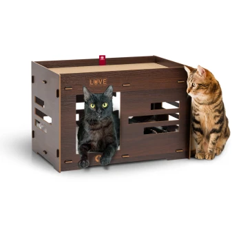 Eine schwarze Katze mit leuchtend gelben Augen sitzt in einem hölzernen Haustierhaus mit der Aufschrift "LIEBE", während eine gestreifte braune Tabbykatze von der Seite zuschaut.