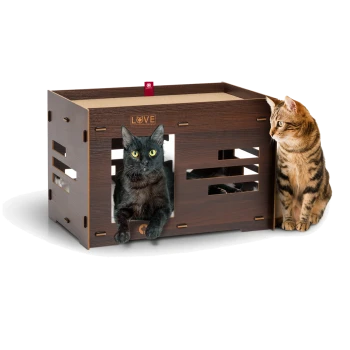 Eine schwarze Katze mit leuchtend gelben Augen sitzt in einem hölzernen Haustierhaus mit der Aufschrift "LIEBE", während eine gestreifte braune Tabbykatze von der Seite zuschaut.