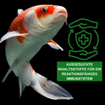 Ein lebendiger Koi-Fisch mit orange-weißen Markierungen schwimmt auf einem schwarzen Hintergrund mit grünem Text und einer Grafik von Händen und einem Schild.