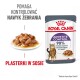 Torebka karmy dla kotów Royal Canin Appetite Control z talerzem mokrej karmy, z grafiką kota i tekstem o kontrolowaniu nawyków żebrania.