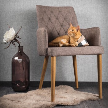 Eine entspannte orangefarbene Katze liegt auf einem stilvollen braunen Stuhl mit einem kleinen schwarz-weißen Kissen, neben einer dekorativen Vase und einer Blume.