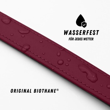 Ein brauner Hund steht auf einem Holzweg, trägt ein lila Geschirr und eine Leine, umgeben von Grün.