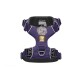 Front Range™ Geschirr violett L-XL