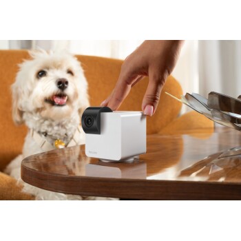 Eine braune Katze sitzt neben einer weißen Petcube-Kamera auf einem Holztisch, mit einer goldenen Vase und grünen Blättern im Hintergrund.