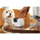 Eine braune Katze sitzt neben einer weißen Petcube-Kamera auf einem Holztisch, mit einer goldenen Vase und grünen Blättern im Hintergrund.