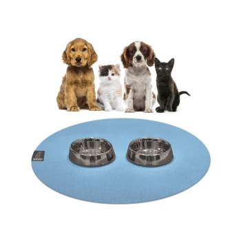 Ein Golden Retriever Welpe, ein flauschiges weißes Kätzchen und eine schwarze Katze sitzen vor einer blauen Tiermatte mit zwei Edelstahlschalen.