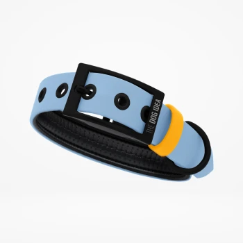 Biothane Halsband Hellblau S Hellblaues Hundehalsband mit schwarzem Schnallenverschluss und gelbem Akzent, mit dem Text "THE DOG IDEA" auf der Schnalle.