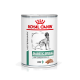 Dosenfutter für Hunde von Royal Canin, beschriftet mit "Diabetic Special," ausgestattet mit einer kohlenhydratarmen Formel und einer Laib-Textur.