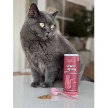Graue Katze neben einer pinken Dose 'KatKare Urinary Topping', rosa Schaufel und Pulver auf weißem Tisch.