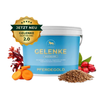 Ein blauer Behälter mit der Aufschrift "PFERDEGOLD" und "Ergänzungsfuttermittel für Pferde", umgeben von Hagebutten, Leinsamen und Orangenscheiben.