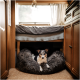 Ein kleiner Hund mit schwarz-weißer Fell liegt bequem in einem flauschigen grauen Hundebett, das sich unter einem Holzbett in einem gemütlichen Innenraum befindet.