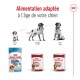 Image de nourriture pour chiens Royal Canin : paquet pour chiots et deux boîtes pour adultes avec des recommandations d'âge : "2 à 12 mois," "12 mois à 7 ans," "Après 7 ans."